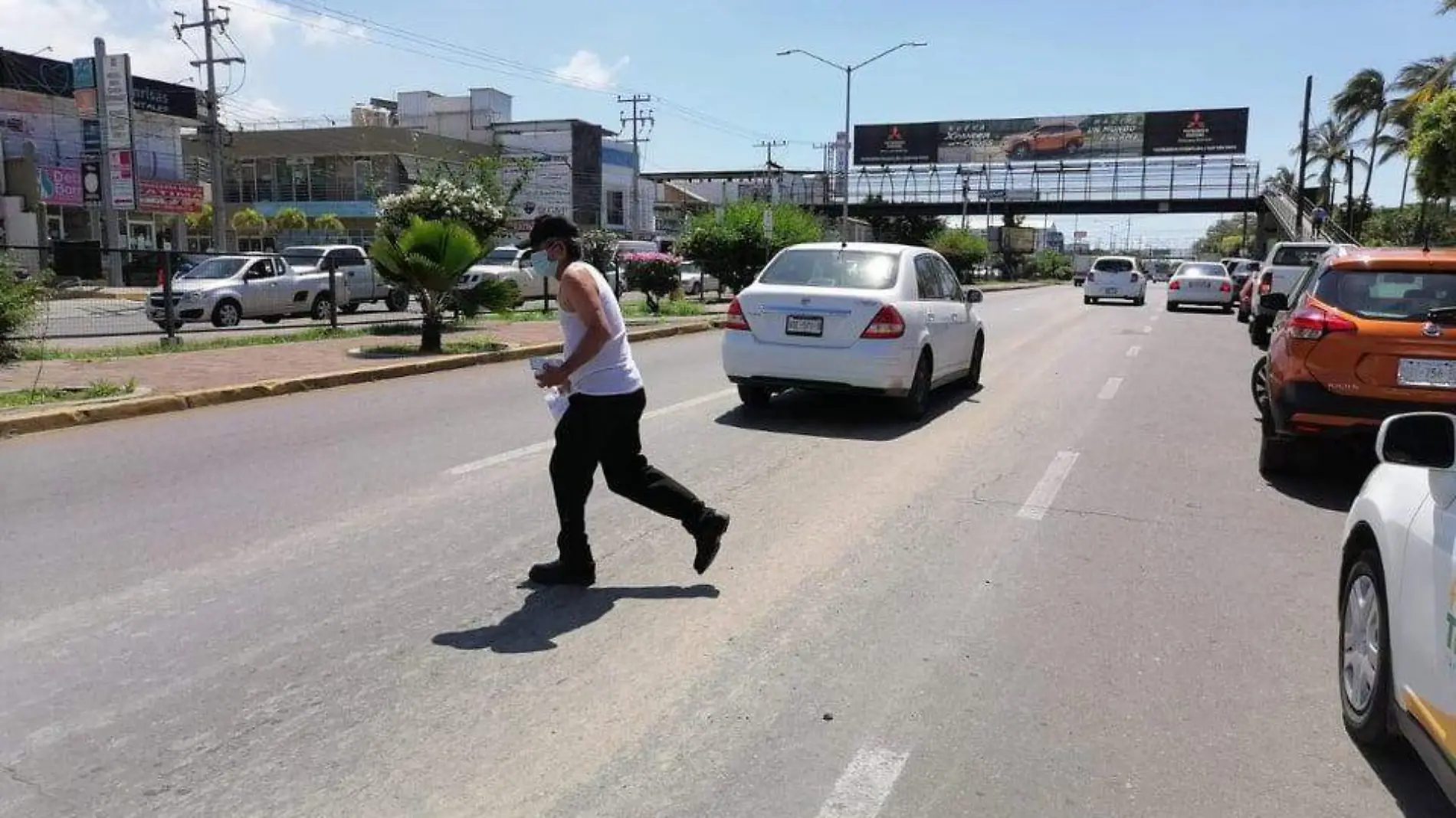 Avenidas de Mazatlán